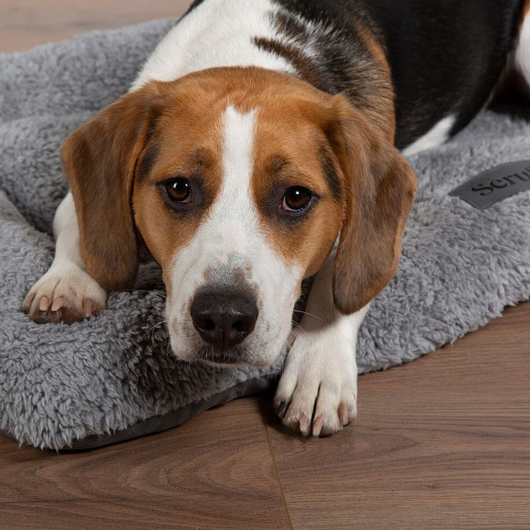 Scruffs Cosy Crate Mat - Image 2