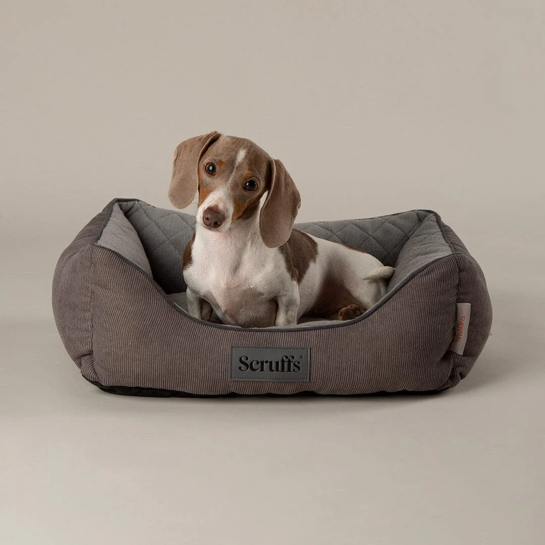 Scruffs Thermal Box Bed - Image 2